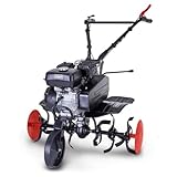 Scheppach Motobineuse Thermique MTP750 - Moteur 4 Temps - 212 cm³ - 5,7 CV - Largeur de Tr...