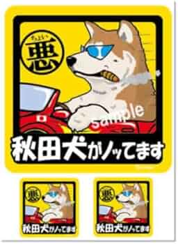 41O6qmbCSML._AC_UF350,