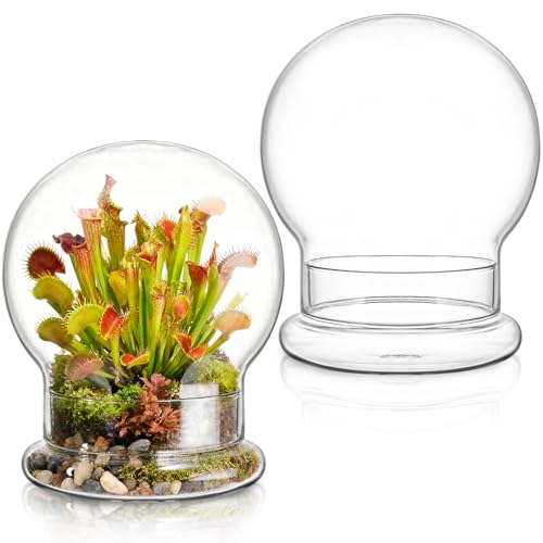 Mezchi 2 Pack Round Glass Cloche Domes with Air Hole and Base, 4.6×6.6 Inches Clear Terrarium Planter, Cloche Planters, Terrarium Bell Jar, Humidity Dome Glass for Plants, Mimosa