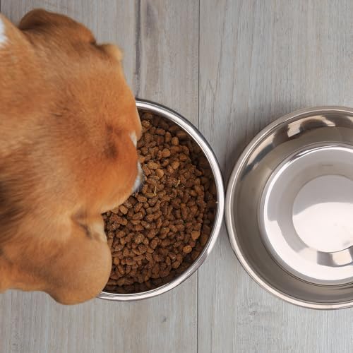 2 Stück Edelstahl Fressnapf Hund 860ml, Hundenapf Kleine Hunde, Futternapf und Trinknapf mit Rutschfestem Silikonboden für Kleine Mittelgroß Hunde und Katzen