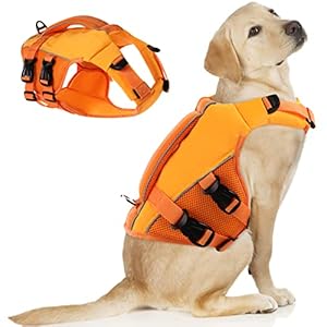 ASENKU Schwimmweste Hund Mittel L,Verstellbar & Ripstop Hundeschwimmweste,Rettungsweste für Hunde mit Griff und Reflektierend, Hunde Schwimmweste für Chihuahua,Dackel,Französische Bulldogge, Labrador