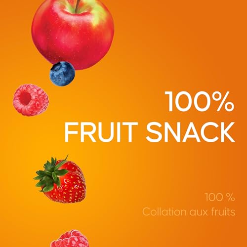 SunRype FruitSource SunRype Fruit to GoFruit Snack Variety Pack, 336g12oz, {Imported from Canada} - image 2
