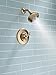 Delta Faucet Linden 14 Series Single-Function Shower Trim Kit with 5-Spray Touch-Clean Shower Head, Champagne Bronze T14294-CZ (Valve Not Included)
