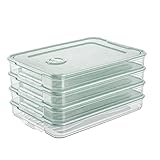 Dumpling Aufbewahrungsschale mit Deckel und festen Schnalle Entwurf ist für die Lagerung von Lebensmitteln in Kühlschränken geeignet, Arbeitsplatten, und Haushaltsküchen