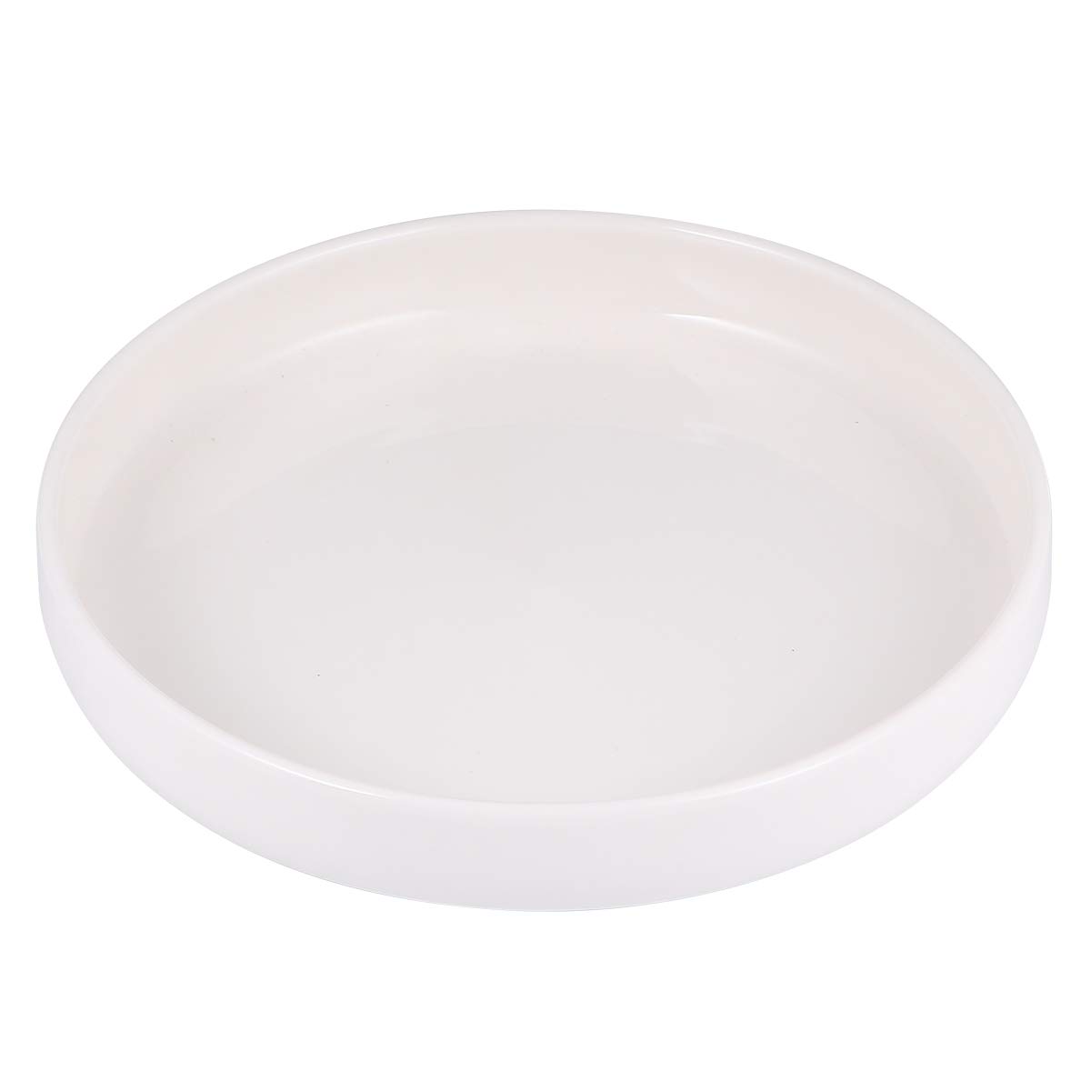 HOMSFOU Ciotola per Rettili in Ceramica 21 Cm Bianca, Contenitore Alimentazione Antiribaltamento per Tartarughe, Lucertole e Piccoli Animali, Resistente e Facile da Pulire per Terrari