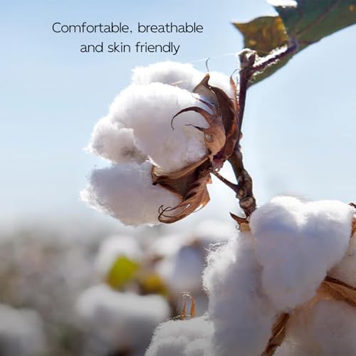 Rods Shirt Last Lap Tour Waves Merch Print Short Sleeve Fashion Graphic Tshirt for Women Men2