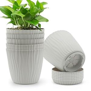 7 inch Plant Pots, 6 Pack Flower Pots for Indoor Plants, Plant Pot with Drainage Hole and Tray Saucer, Plastic Decoration Planters for Indoor Plants Outdoor Home Garden Flowers (Gray)
