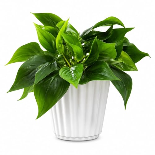 Best Artificial Hanging Plants for Your Home 9 Artificial Plants Fake Pothos with Plastic Pot Artificial Potted ...