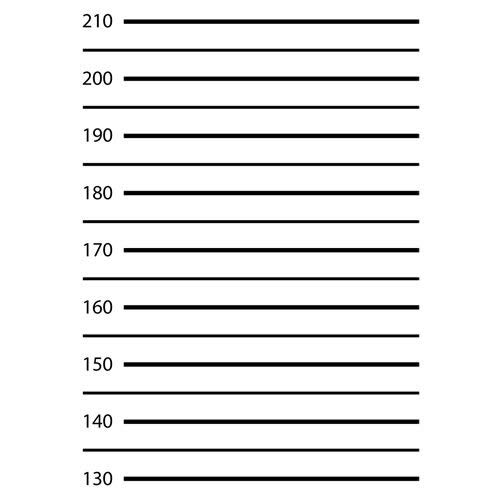 Hintergrundkarton 60x90cm Polizei Lineup Mugshot Fahndungsfoto Hintergrund - Skala 130-210cm Cover