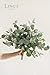 Ling's Moment Artificial Plants 3-Eucalyptus leaves Branches Bouquets,19Pcs 17.5