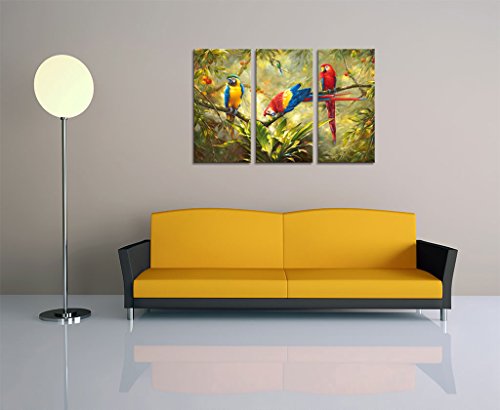 Hlj Art 3 Panels Parrot Wall Art: Tropical Rain Forest Animal Picture Canvas Print Painting thumb #7