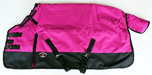 Image of Challenger 1200D Turnout Waterproof Horse Winter Blanket Heavy 584G