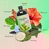 Soursop Bitters Liquid 16oz - Premium Holistic Immune Boost