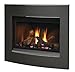 Napoleon S36CVN Fireplace Surround for BGD36CFG, Convex - Brown