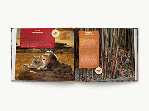 Discovering Tigers, Lions & Other Cats: The Ultimate Handbook to the Big Cats of the World
