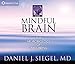 The Mindful Brain: The Neurobiology of Well-Being