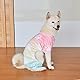 CuteBone Große Hundepyjamas mit Farbverlauf, weiches Material, dehnbarer Einteiler für Hundehemd, Hundewinterjacke und Hundemantel P09XL-DE