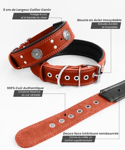 Hundehalsband Leder, 5 cm Breites Robustes Echtes Lederhalsband, Handgefertigt, Weich und Luxuriös, Auffällige Beste Wahl für Große und Mittelgroße Hunderassen, Rot M