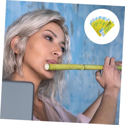 Toyvian 1 Set 10 Packs Dizi Membrane Flute Accessories Flute Membrane Chinese Flute Membrane for Dizi Flute Diaphragms Dizi Maintenance Supplies Flute Parts Reed Universal Component