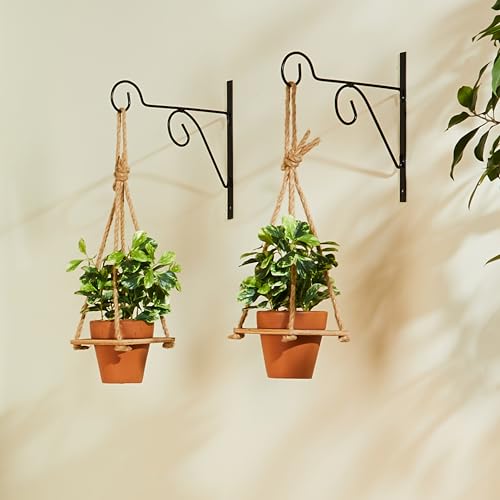 Image of Amazon Brand - Solimo Plant Hanger Brackets Wall Mounted Metal Hanging Hooks /Holder for Indoor Outdoor Planters (Black, Set of 2)