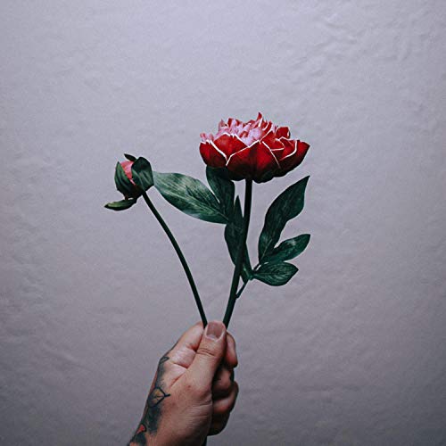 GBSN & Marcus Veltri