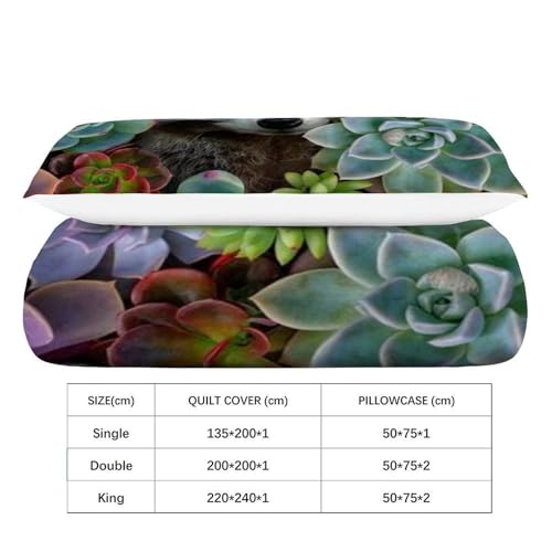 Housse de couette single raton laveur 135x200 microfile
