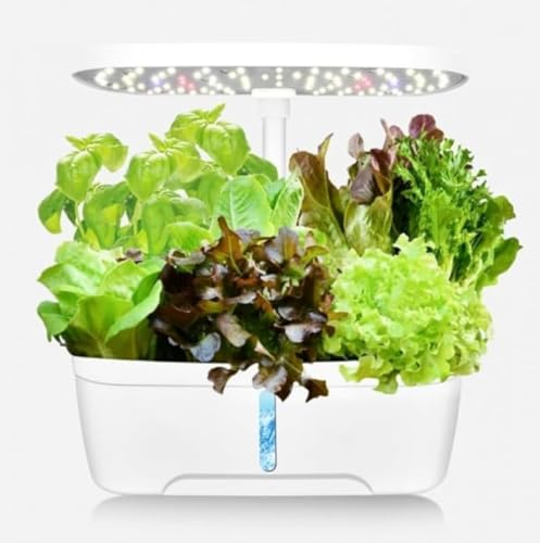 Xiraivke 水耕栽培キット 自動水循環 低ノイズコンパクト 室内家庭菜園 ハーブ/ミニトマト/きくらげ栽培用 スタイリッシュデザイン 3 穴タイプ 高さ調整可能