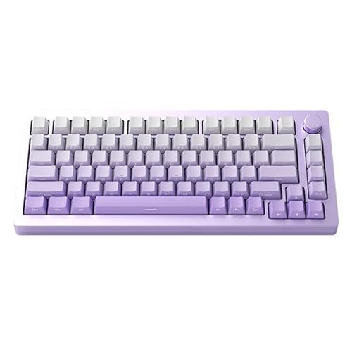 【国内正規品】MonsGeek M1W-SP 英語配列 有線 / 2.4GHz / Bluetooth 5.0 2.4GHワイヤレス Akko V3 Piano Proスイッチ テンキーレス メカニカルキーボード ガスケットマウント構造 アルミ筐体 Mac