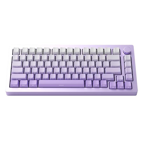 Amazon | 【国内正規品】MonsGeek M1W-SP 英語配列 有線 / 2.4GHz