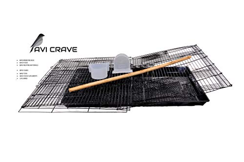 AVI-CRAVE-Bird-cage-for-BudgiesFinchesLove-BirdsCocktailsConures