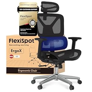 FLEXISPOT Ergonomischer Bürostuhl Schreibtischstuhl, 3D-Armlehnen, 3D-Kopfstütze, 5D-verstellbare Rückenlehne, Atmungsaktiver Sitz Belastbar bis 136 kg Arbeitsstuhl, ErgoX, Schwarz