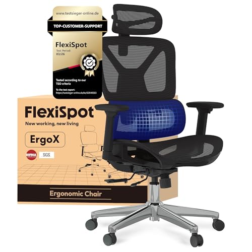 FLEXISPOT ErgoX Chaise Bureau, Accoudoirs 3D, Chaise de Bureau Ergonomique