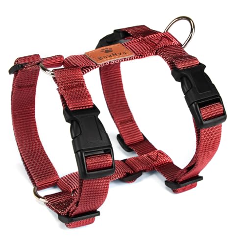 ybtzBowNya Cauda,  n[lX CǋE ANeBun[lX ȒP 5\ bh XSTCY