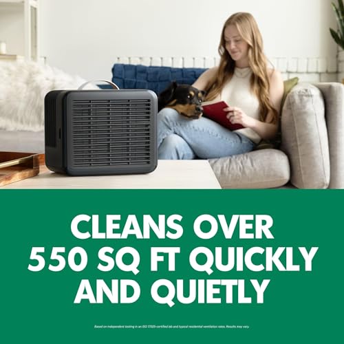 True HEPA Air Purifier for Allergies