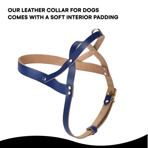 Black Rhino Leather Padded Dog Harness - Heavy Duty Leather Vest For Dogs - Easy Walk Dog Harness - Soft Interior Padding - Comfortable Fit For All Types Of Dogs #TOP3