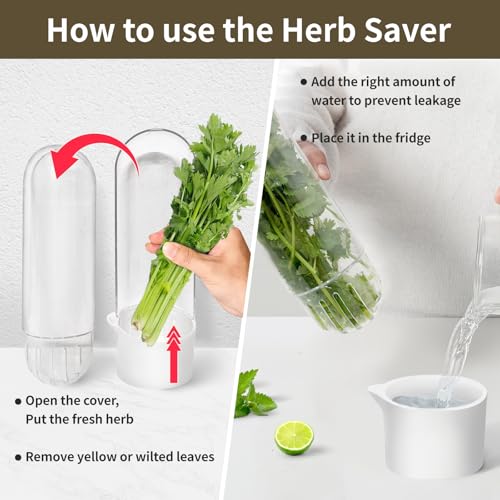 Image of Herb Keeper for Refrigerator, Herb Saver for Refrigerator, Vegetable Preservation Bottle for Cilantro, Mint, Parsley, Asparagus, Keeps Greens Fresh for 2-3 Weeks (1PCS)
