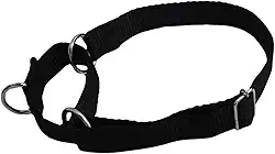 Coleira Ajustável para Cachorro Meio Enforcador Tamanho M Preta Para Passeios e Adestramento Raças Médias e Pequenas