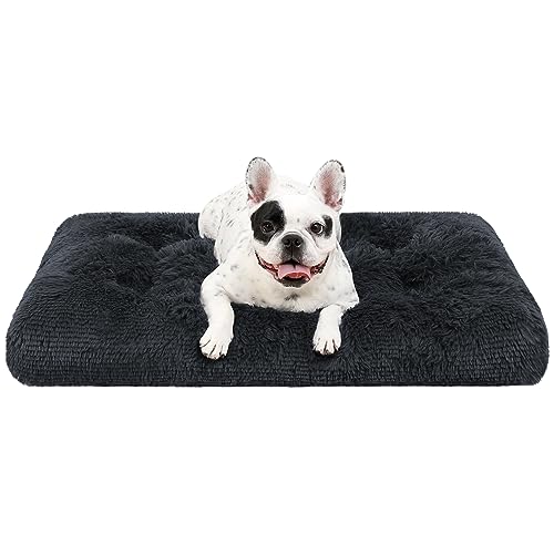 KSIIA Cuscino per Cani, Cuccia Cane Piccolo Interno, 60x45cm, Peluche Morbida e Soffice, Base Antiscivolo, Lettino per Cani, Lavabile in Lavatrice, Materassino Cane, Grigio scuro
