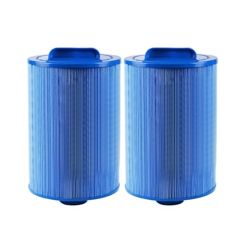 Filtre de spa remplacement PWW50 solution eau trouble de piscine