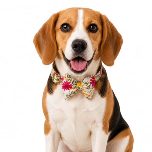 Image of Premium Dog Collar with Bow Tie, Adjustable Size, Lightweight | for 14-23Kg Dogs (M, Floral)