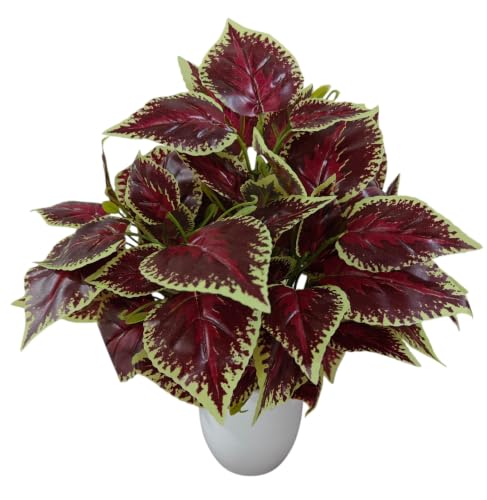 Image of Natural Looking Artificial Money Plant /Tree with Pot | Ornamental Plant for Interior Decor | Home /Shop /Office Decor (Maroon)