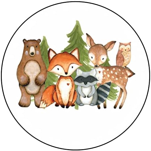 30 pcs Woodland Girl Raccoon Birthday Baby​​​​​​​​​​​​ Stickers Envelope Seals Labels Round Tags, Stamps Sticker for Gift Cards, Envelopes, Boxes for Holiday, Birthday, Christmas