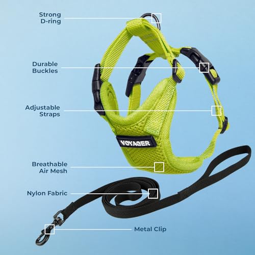 Image of Voyager Escape-Proof Step-in Lock Cat Harness & 5ft Neoprene-Handle Leash Set All-Weather Mesh with Reflective Stitching for Small to Large Cats by Best Pet Supplies, Lime Green, S