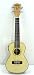 Concert Electric Ukulele 24