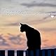 Wisboey Orangefarbener Katzen-Denkmal-Buntglas-Fensterbehang, Schlafende Katze, Sonnenfänger für