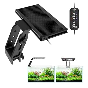QZQ Fish Tank Light – Aquarium Light 24/7 Mode LED Aquarium Lights for Fish Tank with Adjustable Timer/Brightness, Aquarium Plant Light (12W for 7–12 Inch Tank)