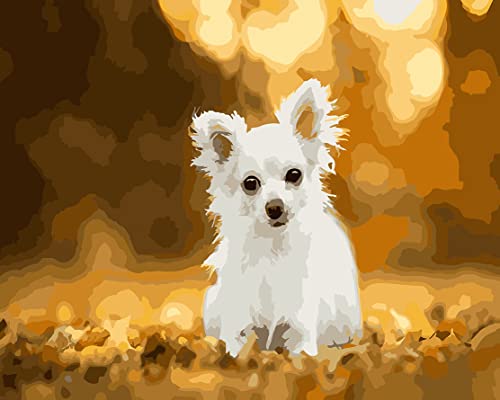 Shukqueen Pintura por números para adultos, kit de pintura al óleo por números, para niños, adultos, principiantes, perros blancos, sentarse y mirar, 40.6 x 50.8 cm (sin marco)
