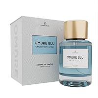 Buy Ombre Bliss Unisex Perfume –100ml Eau De Parfum for Men & Women |  Long-Lasting Luxury Scent with Citrus & Oud Notes
