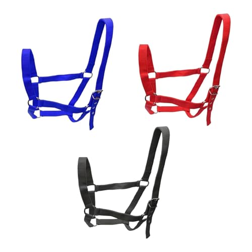 Licol pour chevaux de concours avec ajustement ergonomique gorge et menton