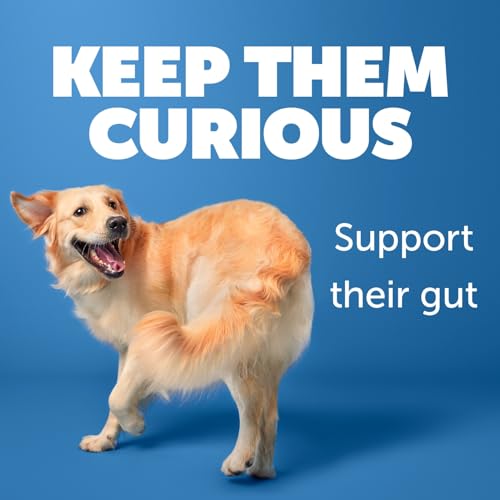 Daily-Care-Gut-Skin-Coat-60-postbiotic-Dog-Supplement-Chews--Salmon-and-Sweet-Potato-Flavored - Cucciolini Doodles   Daily-Care-Gut-Skin-Coat-60-postbiotic-Dog-Supplement-Chews--Salmon-and-Sweet-Potato-Flavored